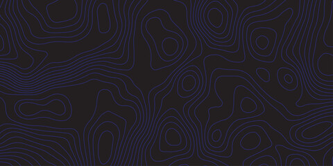 Abstract dark topographic pattern with flowing contour lines, organic curves, and subtle blue lighting. Modern, minimal, and atmospheric background ideal for technology, mapping, or design projects.