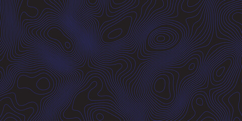 Abstract dark topographic pattern with flowing contour lines, organic curves, and subtle blue lighting. Modern, minimal, and atmospheric background ideal for technology, mapping, or design projects.