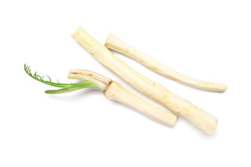 Peeled horseradish roots on white background