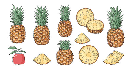 Hand-drawn illustration showcasing fresh whole pineapples, juicy round slices, and triangular wedges, with a small red apple, on a white background.