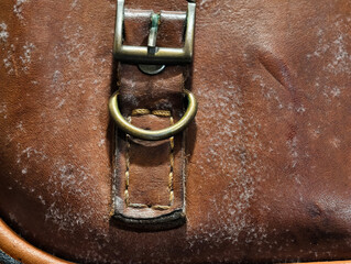 Close-up of mold growth on an old brown leather bag, showing white fungal patches and texture details. Useful for illustrating moisture damage, decay, and leather maintenance issues.