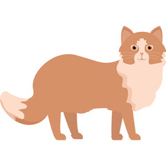 Orange Fluffy Cat Standing Profile View With White Chest And Tail Isolated On Transparent Background Vector Art