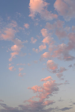 Early evening sky with fresh air and freedom, white fluffy clouds in blue sky with hints of pink from the sun below the horizon, as a nature background
