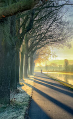 Fototapeta premium A beautifully serene winter scene showcasing a misty pathway beautifully framed by frosted trees surrounding it