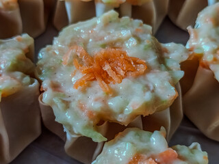 Fresh Dim Sum Filling with Wonton Wrappers and Carrot Topping