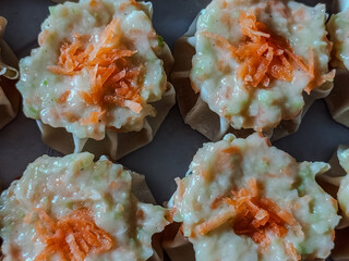 Fresh Dim Sum Filling with Wonton Wrappers and Carrot Topping