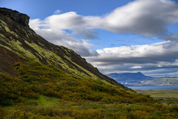 Mossy green volcanic slope in foreground with distant mountain and lake view in Iceland
