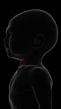 X-Ray video of Dermoid cyst in baby | Dermoid cyst Video in X-Ray | Dermoid cyst indication video in Vertical format