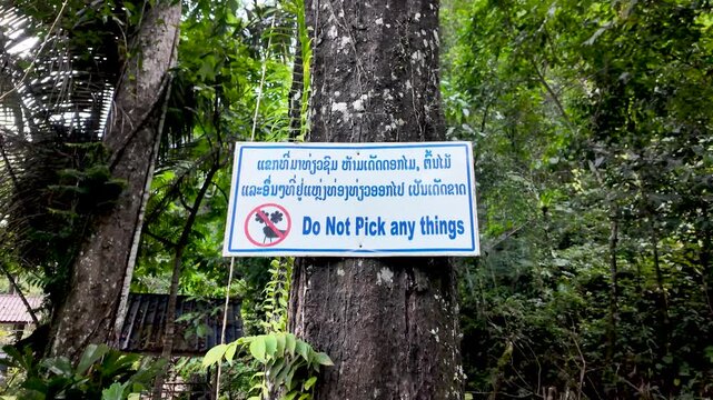 A sign in Lao and English is affixed to a tree trunk in a forest reading Do Not Pick Any Things intended for tourism and conservation purposes