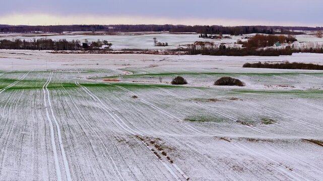 Aerial of winter landscape with snowy green fields, quiet countryside Latvia