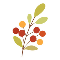 branch with red berries