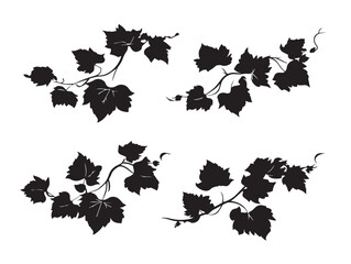 Gorgeous ivy vine silhouette icon set with beautiful flowing shapes