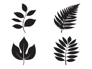 Gorgeous botanical leaf silhouette collection showcasing stunning clean shapes