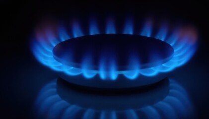 Close-up view of a blue gas burner flame against a black background, close up, kitchen