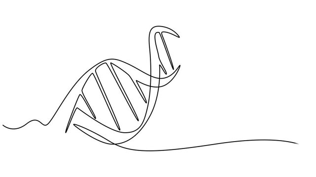 Self animated continuous one line drawing of DNA. Full length one line 4K animation,  scientific research concept, genome linear structure symbol, minimalist vector 4k animation video. helix or DNA.