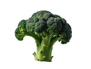 Fresh Broccoli Crown. generative ai
