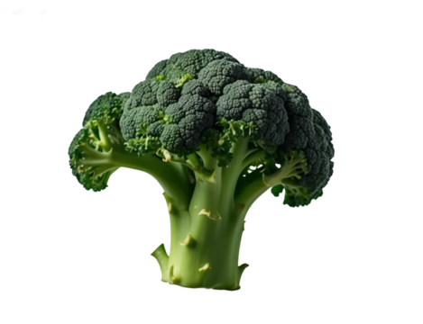 Fresh Broccoli Crown. generative ai