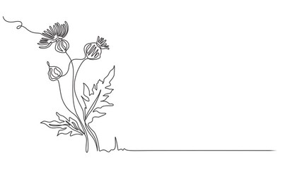 Continuous one line drawing of beautiful wild flowers chamomile motion design, Self drawing animation of continuous single line wild flower. 4K animated video full length. Trendy hand drawn line art. - Powered by Adobe
