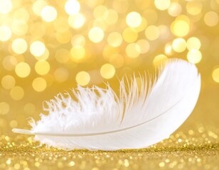 White feather on golden glitter background