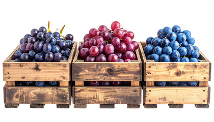 Grapes Wooden crates of purple, red, & blue fruit