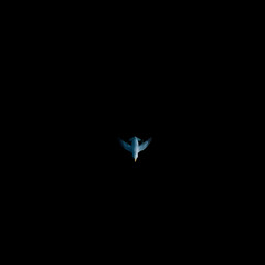 This image is a minimalist composition featuring a small, white, stylized triangular shape in the center of a completely black background. The shape has a subtle blue glow, giving it an ethereal or fu