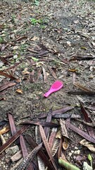Bright Pink Hairbrush Lying on Forest Floor with Seed Pods