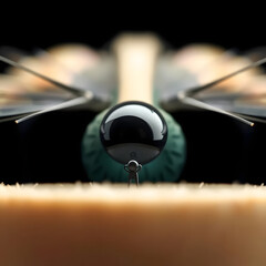 This image is an extreme close-up, macro shot focusing directly on the head of an insect, likely a dragonfly or damselfly. The large, compound eyes are prominently featured, with a blurred body extend