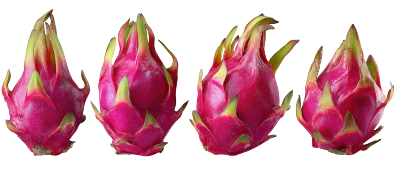 Four vibrant pink dragon fruits displayed in a row