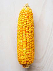 Single ear of golden yellow corn on a light textured background
