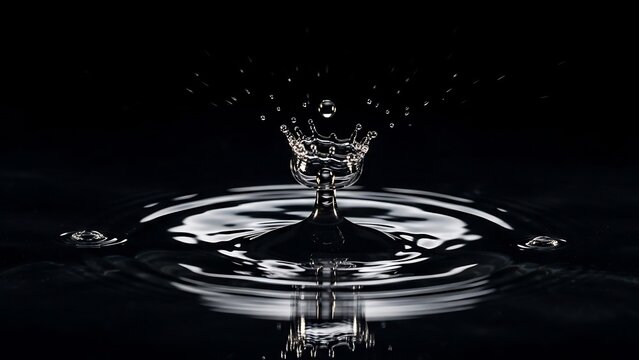 水滴の瞬間美：漆黒の背景に浮かび上がる、繊細でダイナミックな水の造形。光と影が織りなす、ミニマルで洗練された印象。