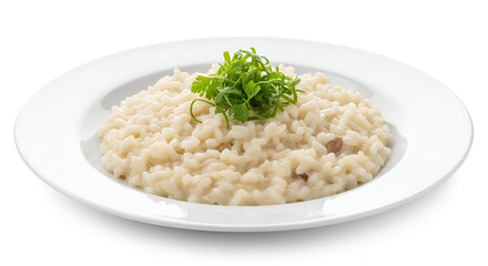 Creamy Risotto with Fresh Herb Garnish on White Plate