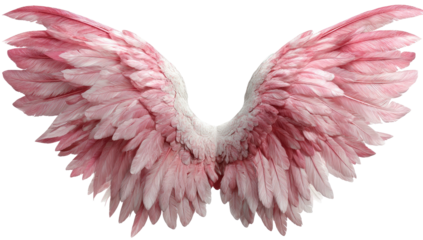 Soft pink feathers spread wide on an ethereal, feathered wing pair