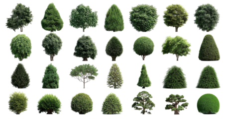 Diverse collection of topiary and sculpted greenery