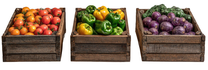 Wooden crates filled with fresh tomatoes, peppers, and eggplants