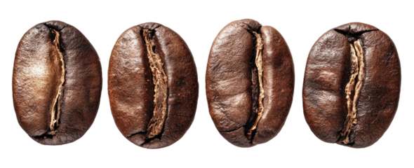 Four roasted coffee beans in a row with a dark background