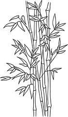 bambo illustration art design black