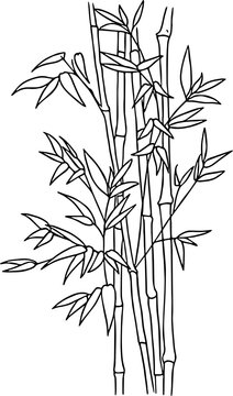 bambo illustration art design black