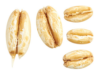 Close-up of light-brown oat grains, split in halves