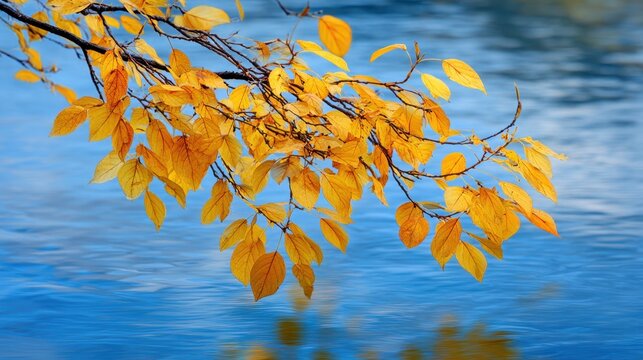 Bright yellow leaves gently sway on a branch above still blue water creating a peaceful autumn scene that captures the beauty of nature in transition.