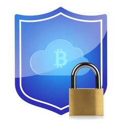 Secure Blockchain Wallet Defense