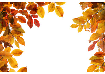 Autumn Leaves Border isolated on a transparent background