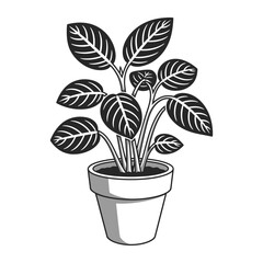 Maranta plant in pot black and white silhouette
