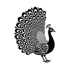 Elegant peacock with feathers displayed in silhouette