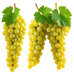 Three bunches of green grapes with leaves (1)