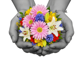 Grayscale hands holding vibrant floral bouquet, selective color. butterflies. isolated on transparent background