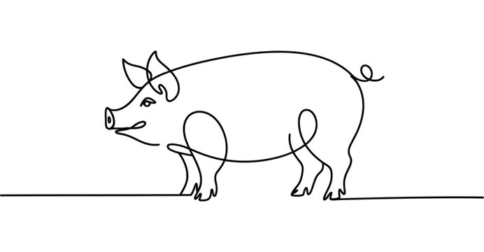  Minimalist pig line drawing &ndash; elegant continuous line art capturing farm animal form with simplicity and charm