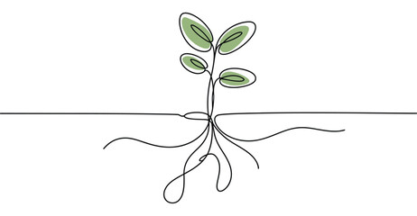 Minimalist plant with roots line drawing – elegant nature-themed continuous line art symbolizing growth, life, and sustainability © VectorCraze