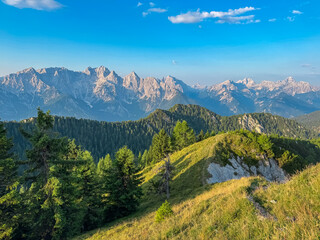 Fototapeta premium Rugged peaks of the Julian Alps dominate the skyline in stunning vista from the Karawanks. A sun-drenched grassy slope and pine trees frame scene, capturing the alpine essence of Austria and Slovenia.