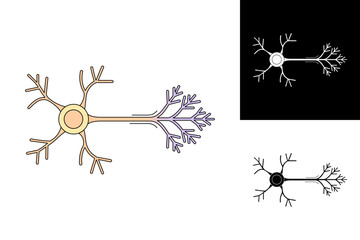 Illustration of a neuron, a nerve cell. Features cell body, dendrites, and axon, vital for neural communication, brain function, and scientific studies in biology and neuroscience concepts