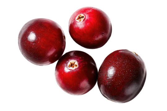 Four glossy, ripe red berries with dark centers